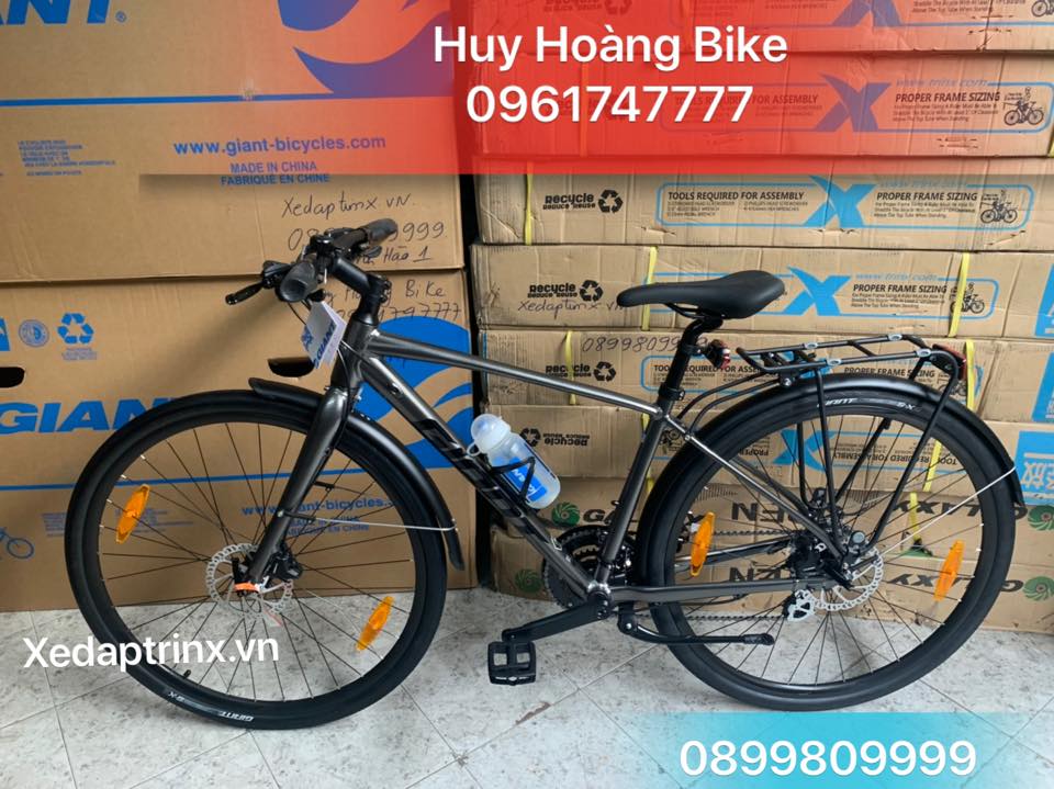 Xe đạp đường phố Giant ESCAPE 2 CITY DISC International – PHANH ĐĨA – 2020